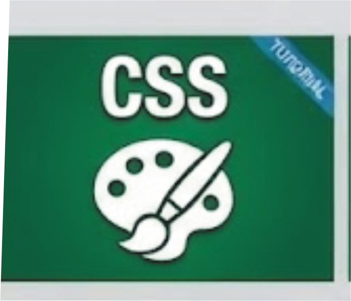 CSS Tutorial